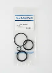 Aladdin Piston O-Ring Kit 2" Ap/pf (O-513KIT-9)