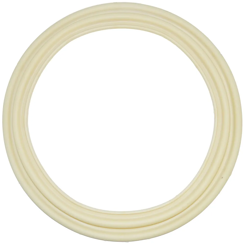 Hayward Diaphragm Gasket (ECX5000G)