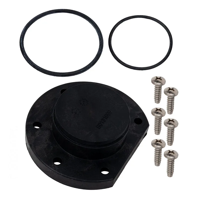 Jandy Return Header Cap & O-Ring LXI (R0454600)