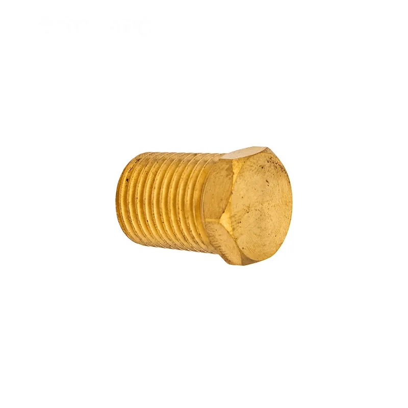 Pentair Brass Drain Plug 1/4" (P0026800)