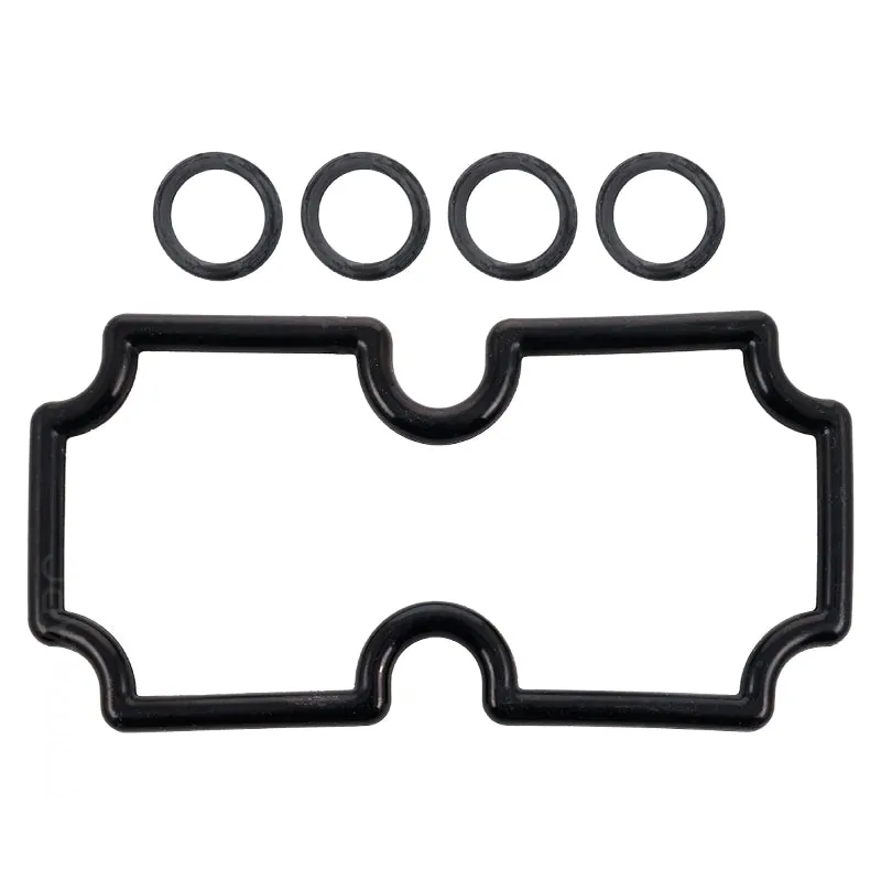 Pentair O-Ring Kit Mt125 (474973)