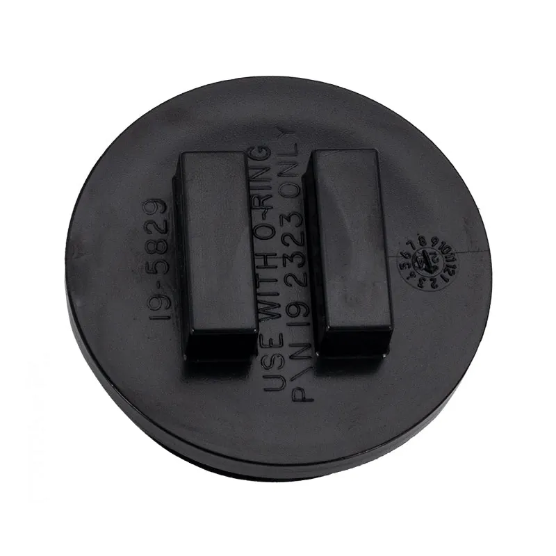Pentair Plug-2In W/ O-Ring (195830)