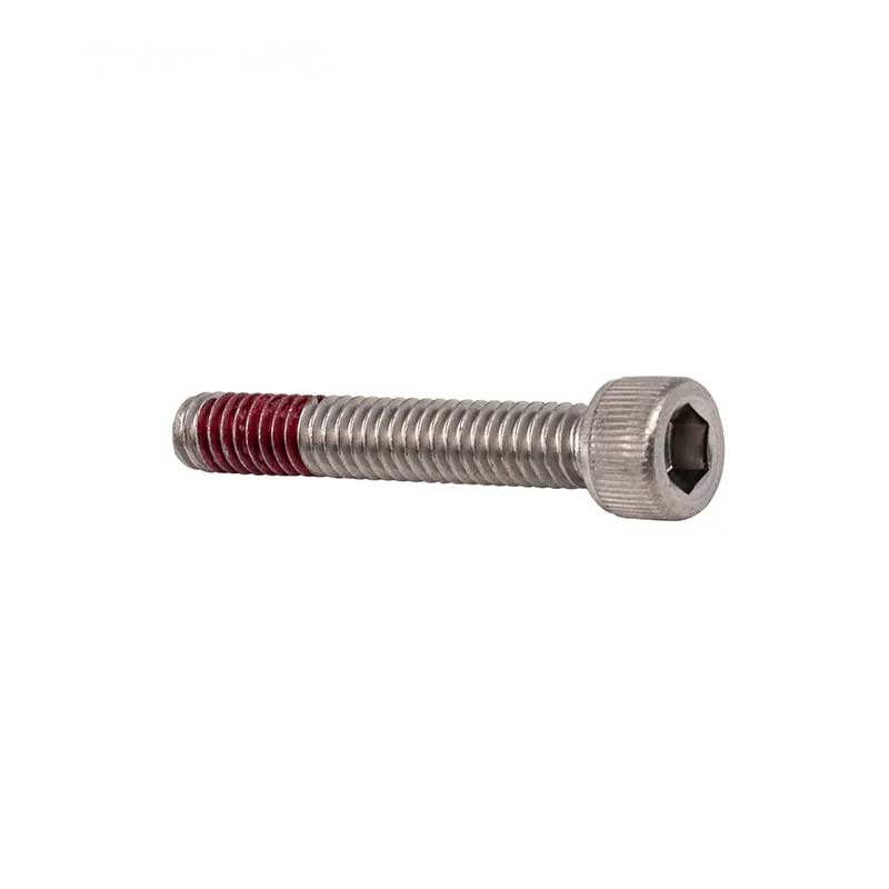 Pentair Scr 8-32 1"ALLEN Patch Vibratite Diffuser Screw 1" (353323Z)