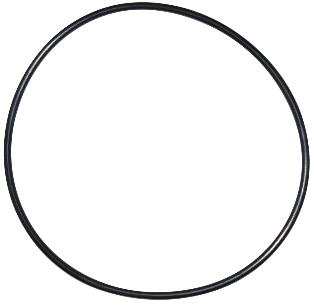 Pentair Seal Plate O-Ring (U9-228AZ)