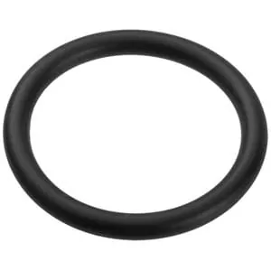 Pentair Sta-Rite Cristal-Flo Filter Valve Flange O-Ring (U9-371)