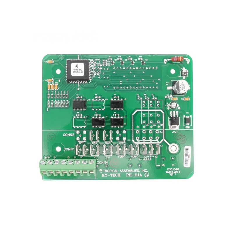 Raypak Digital Board-Kit (H000029)