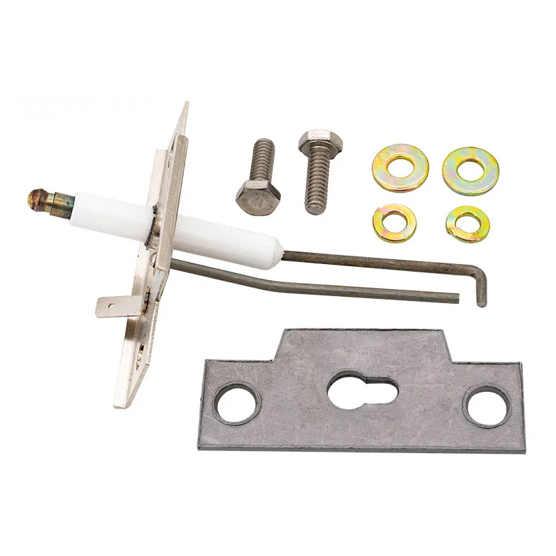 Raypak Direct Spark Ignitor 259A/ 409A Dsi (014124F)