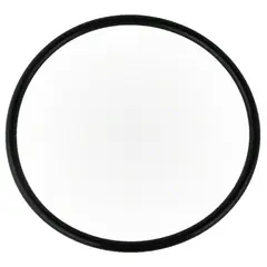 Waterway 6" Trap Lid O-ring 805-0436